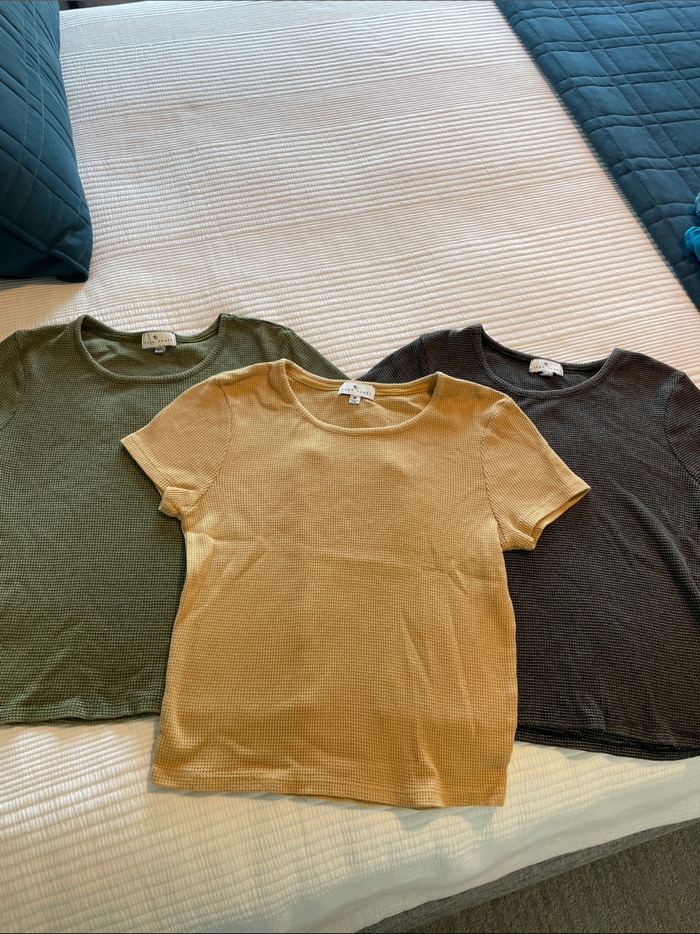 3 Pk True Craft Short Sleeve Ribbed Tee Set in Mustard, Olive, Charcoal